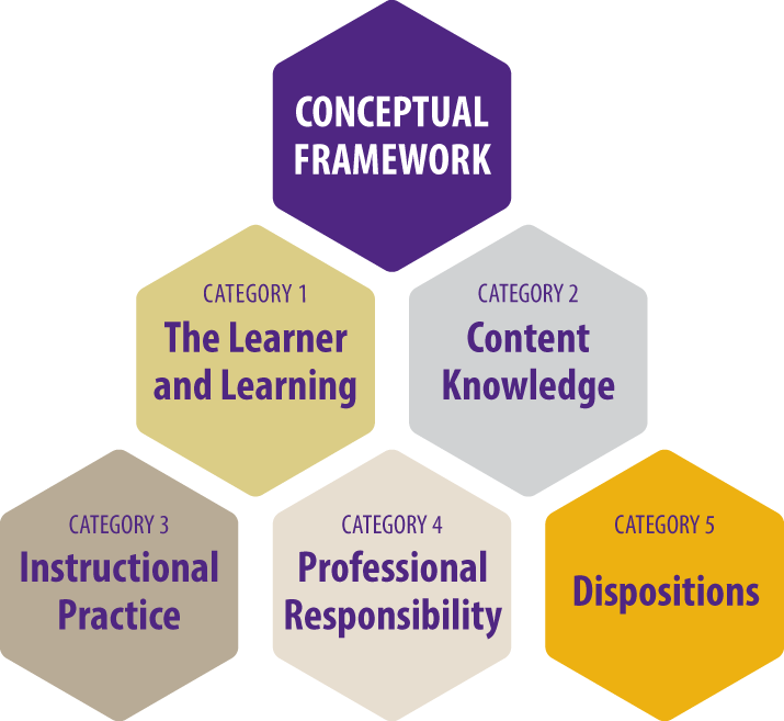 Conceptual Framework graphic